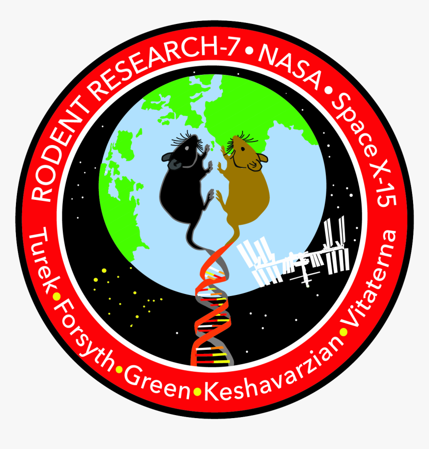 Rodent Research-7 Mission Patch - Rodent Research Mission Patch, HD Png Download, Free Download