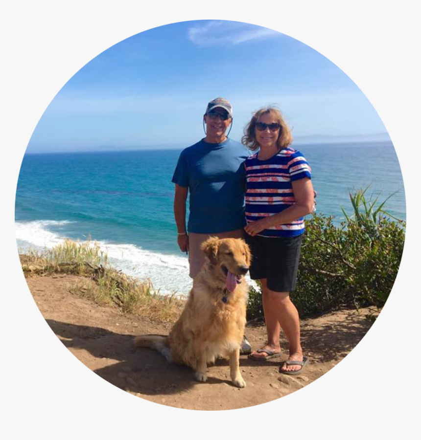 Rob - Golden Retriever, HD Png Download, Free Download