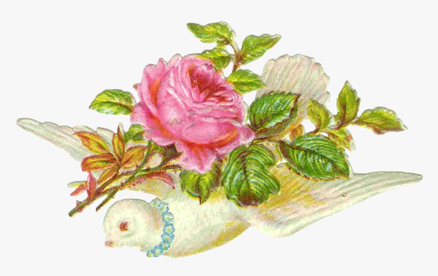 Adornos Vintage Para Scrapdigital O Fotomontaje - Victorian Dove Transparent Background, HD Png Download, Free Download