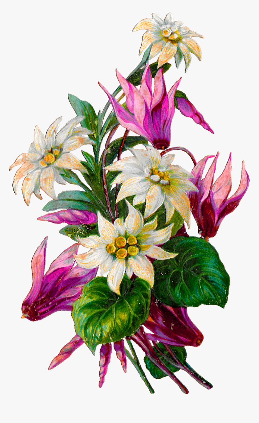 The Graphics Monarch - Bouquet, HD Png Download, Free Download