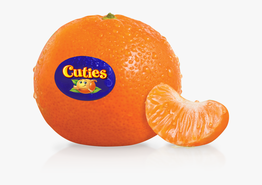 Orange Cutie Logo, HD Png Download, Free Download