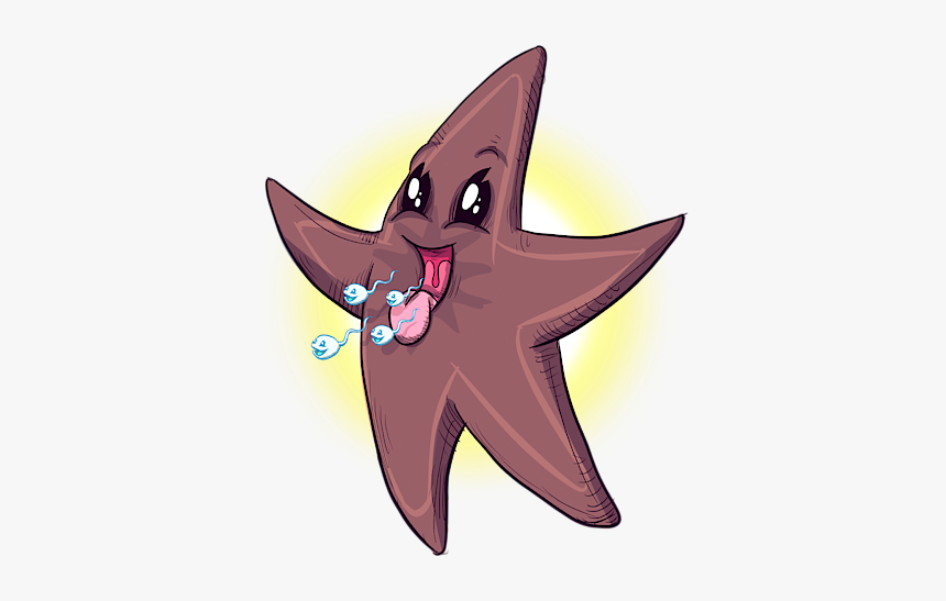 Chocolate Starfish, HD Png Download, Free Download