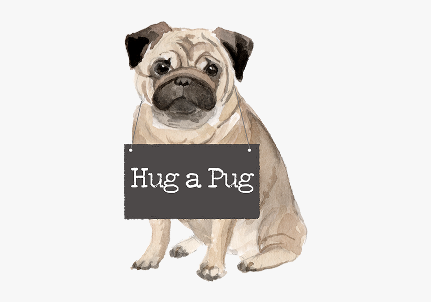 Pug Watercolor, HD Png Download, Free Download