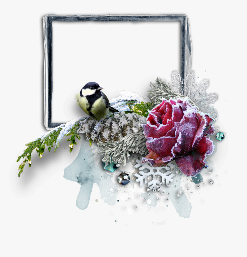 ❄️ Cadre Hiver Png, Cluster Winter Frame Png, Cold - Chickadee, Transparent Png, Free Download