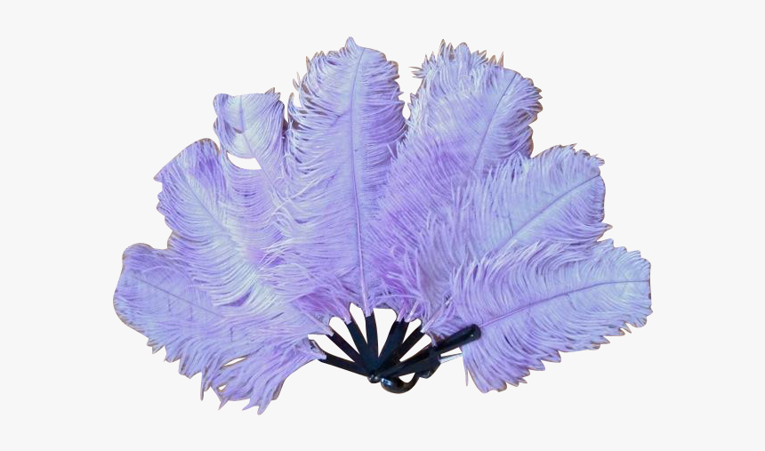 Transparent Feathers Fluffy - Flapper Feather Transparent, HD Png Download, Free Download