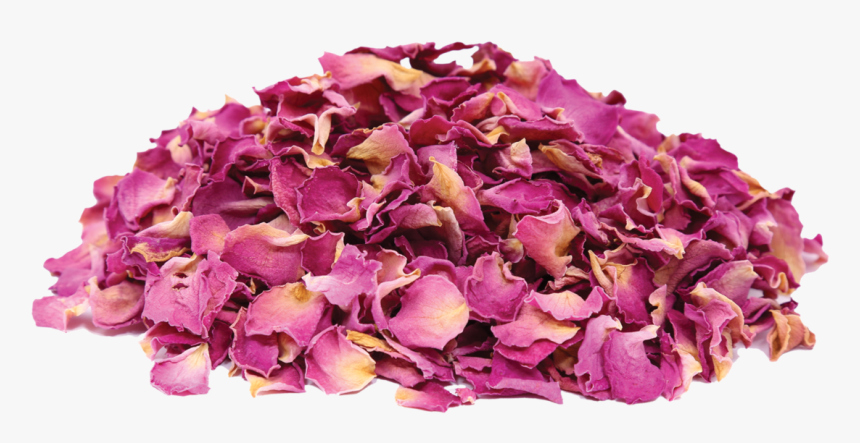 Dried Rose Png, Transparent Png, Free Download