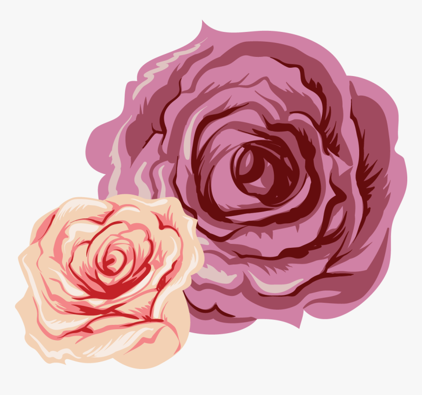 Garden Roses, HD Png Download, Free Download