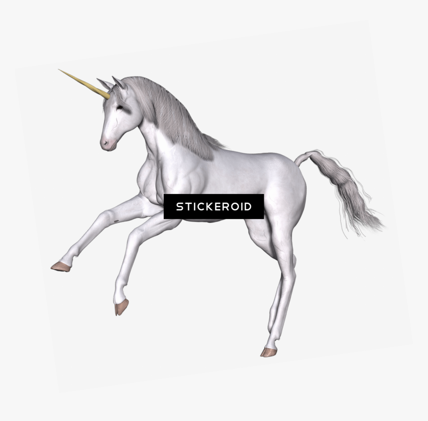Full White Unicorn Front Legs Up - Unicorn, HD Png Download, Free Download