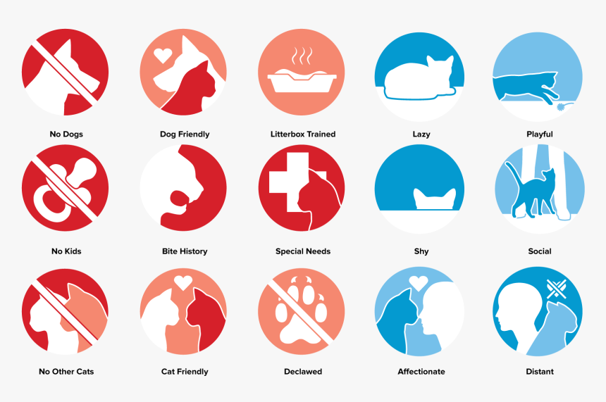 Pet Icon & Adoption System, HD Png Download, Free Download