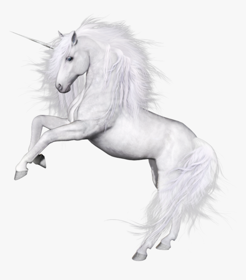 Unicorn Png - Единорог Картинки На Черном Фоне, Transparent Png, Free Download