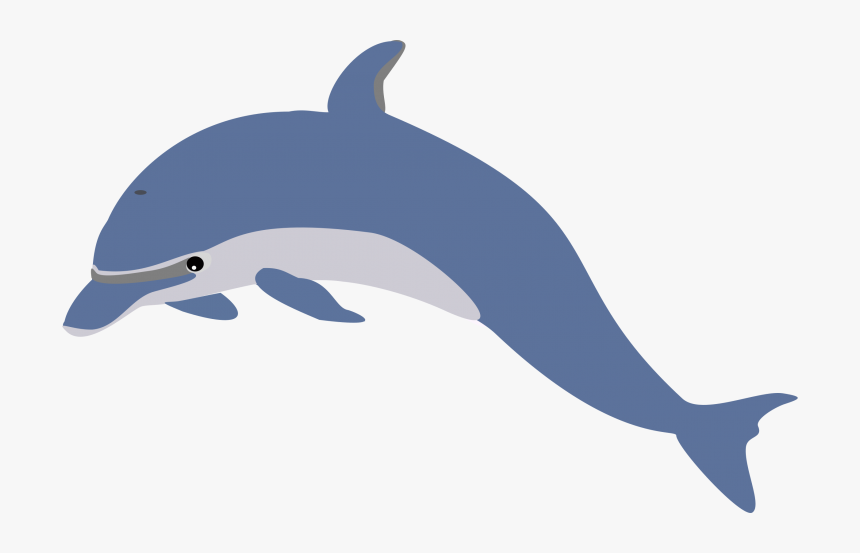 Dolphin Swimmers Will Be Introduced To Breaststroke, - Oceanic Dolphin, HD Png Download, Free Download