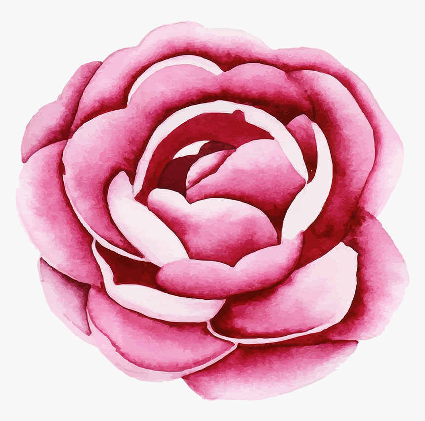 Garden Roses, HD Png Download, Free Download