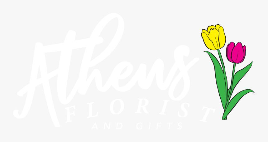 Athens Florist And Gifts - Lady Tulip, HD Png Download, Free Download
