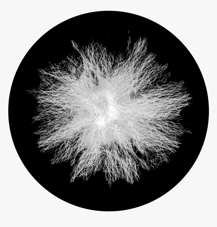 Apollo Static Dandelion - Fireworks, HD Png Download, Free Download