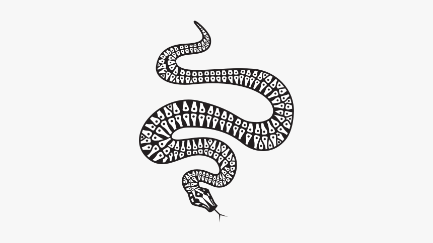 Snake Silhouette Monochrome - Gold Snake Png, Transparent Png, Free Download