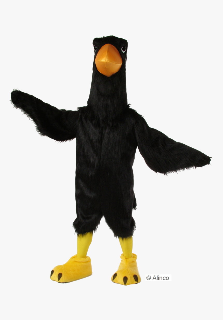 Black Big Bird, HD Png Download, Free Download