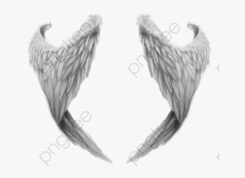 Angel Wings From Behind, HD Png Download, Free Download