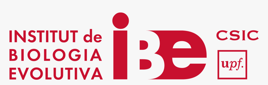 Ibe - Graphic Design, HD Png Download, Free Download