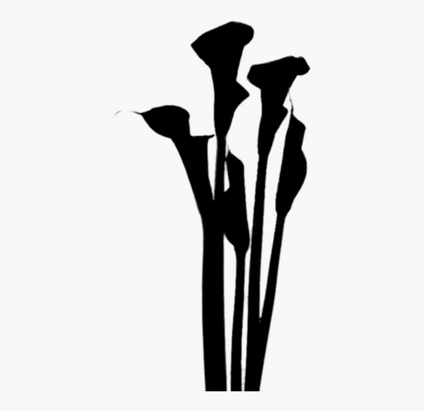 Product Flowering Silhouette Plant Stem Free Transparent - Silhouette, HD Png Download, Free Download