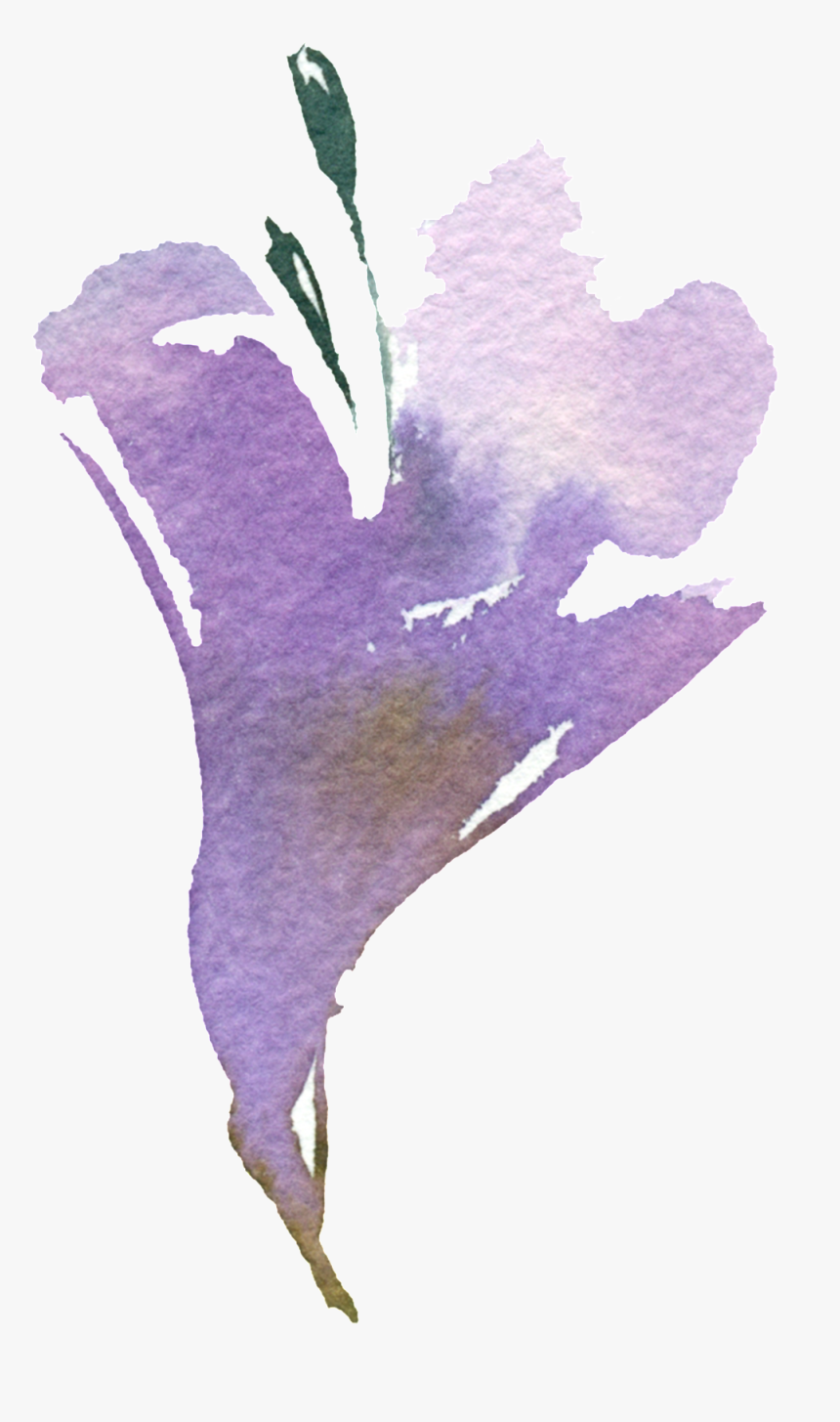 Hand Painted Art Watercolor Png Transparent - Iris, Png Download, Free Download