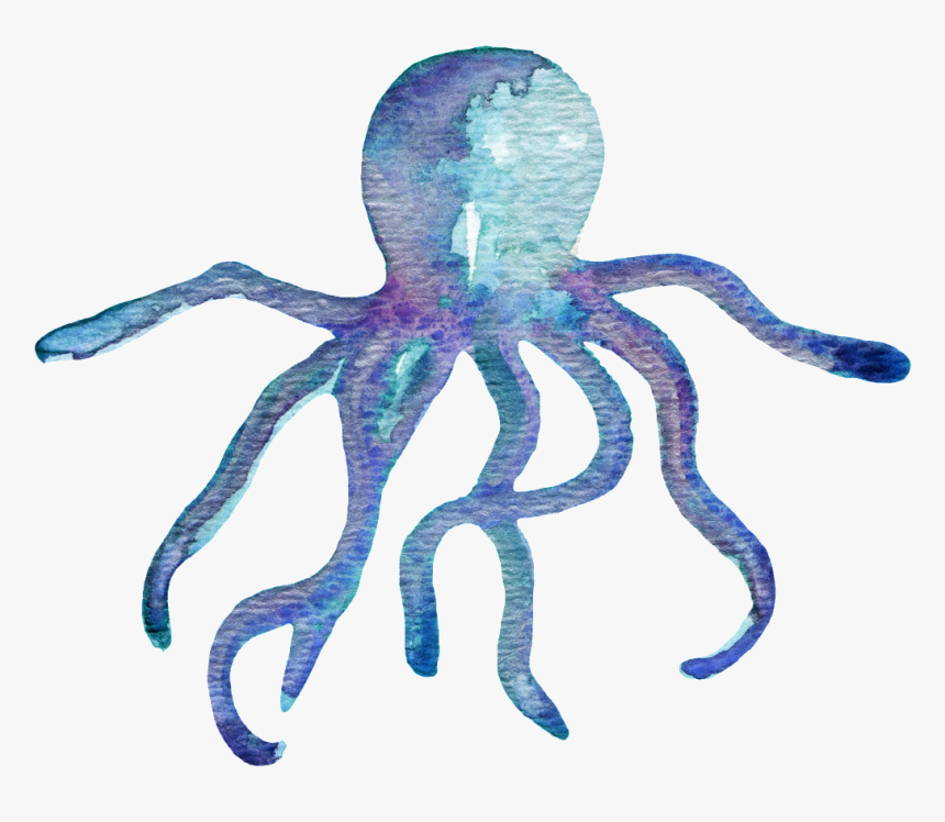 Hand Painted Cartoon Octopus Png Transparent - Watercolor Sea Life Png, Png Download, Free Download