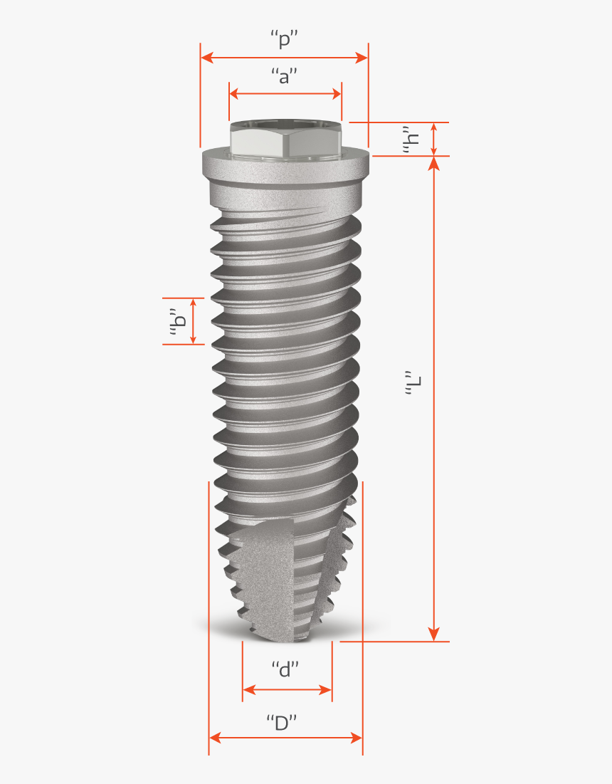 Guias Para As Medidas Do Implante Hexágono Externo - Cutting Tool, HD Png Download, Free Download