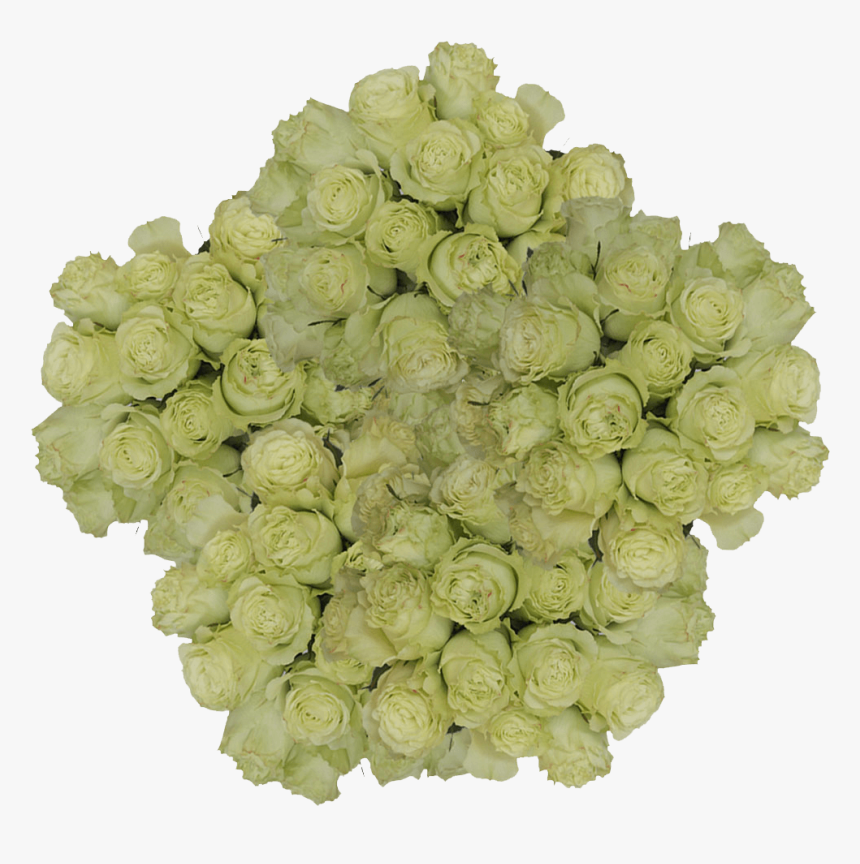 Real Lemon Green Limonada Roses For Sale - Bouquet, HD Png Download, Free Download