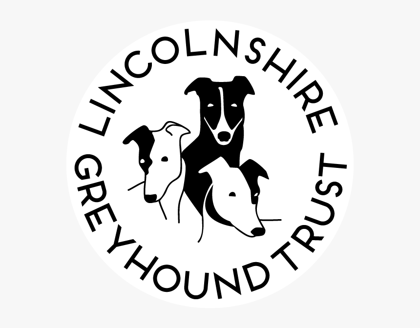 Greyhound Rehoming Services, Lincolnshire Greyhound - Lincolnshire Greyhound Trust, HD Png Download, Free Download