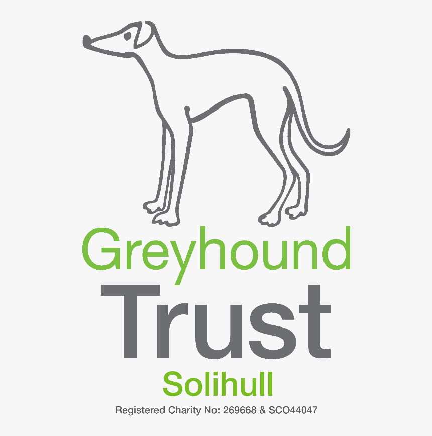Greyhound Trust Solihull - Retired Greyhound Trust, HD Png Download, Free Download