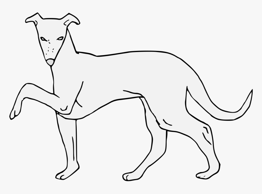 Rampur Greyhound, HD Png Download, Free Download