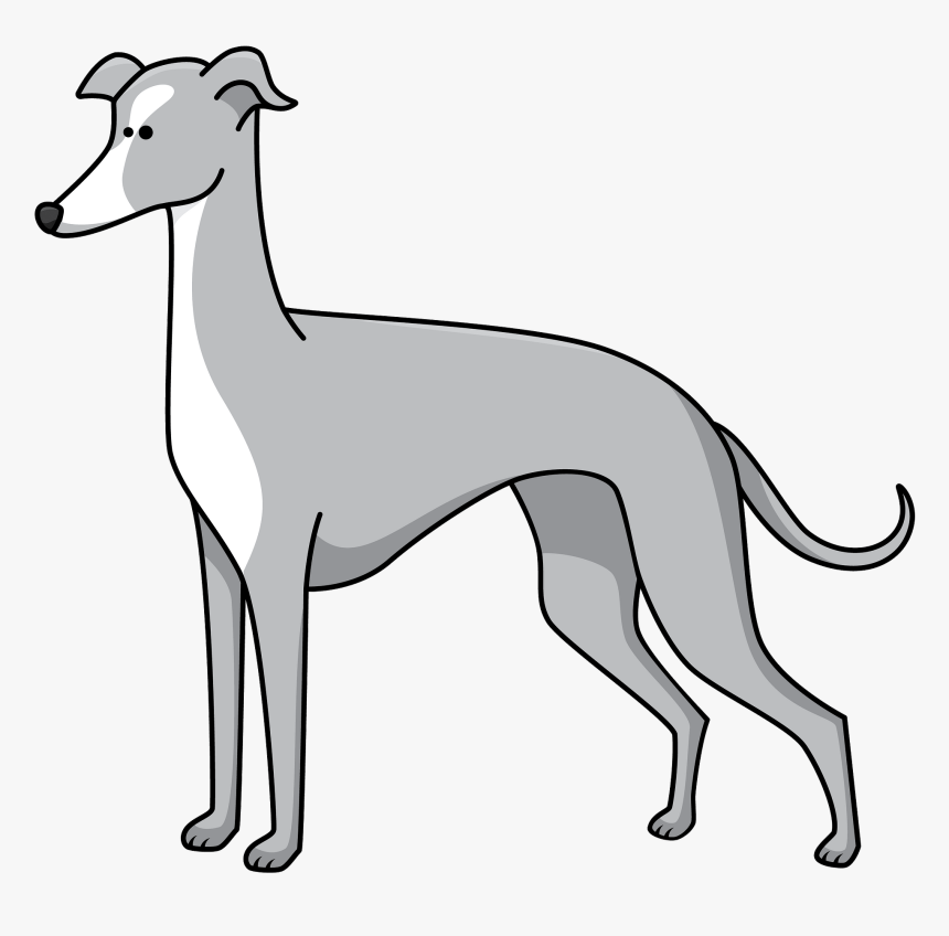 Cartoon Italian Greyhound Png, Transparent Png, Free Download