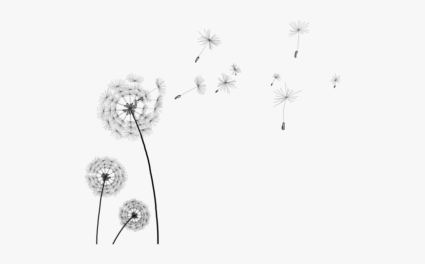 Dandelion Clip Art Transparent, HD Png Download, Free Download