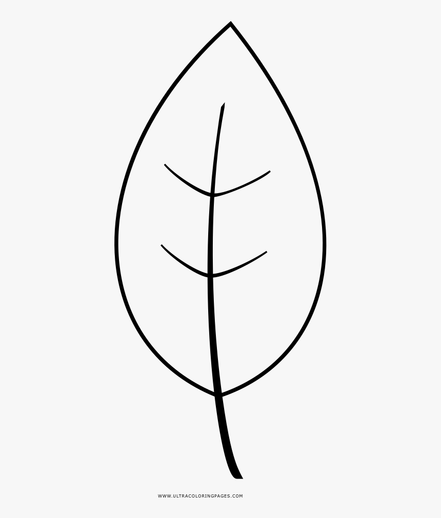 Leaf Coloring Page - Line Art, HD Png Download, Free Download