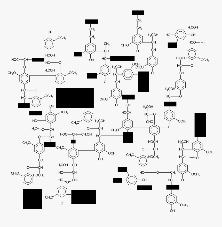 2000px-lignin Structure - Svg - Lignin Molecule, HD Png Download, Free Download