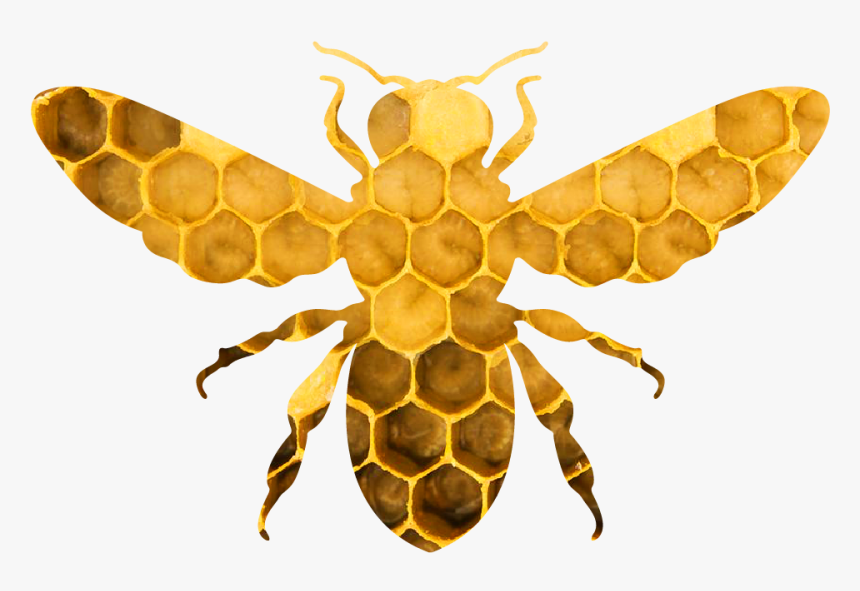 Gold Bee, HD Png Download, Free Download