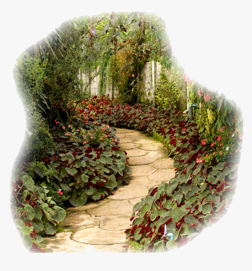 Garden Without Flowers, HD Png Download, Free Download