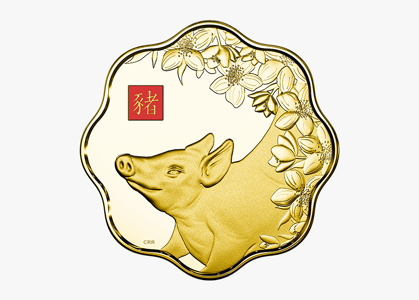 Year Of The Pig Transparent, HD Png Download, Free Download