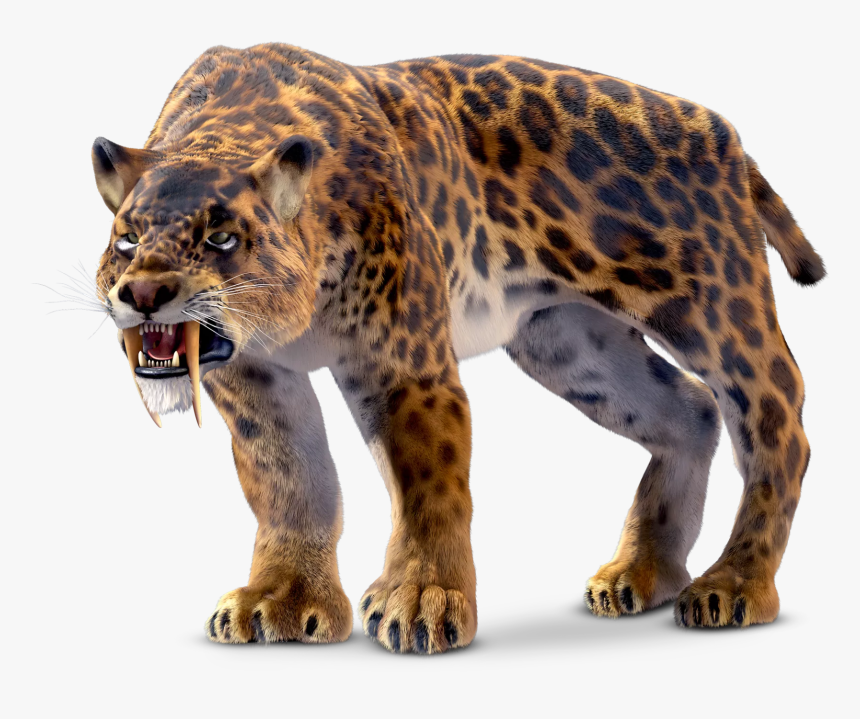 #sabertoothtiger #prehistoric #animal 
#bigcat - Saber Tooth Tiger, HD Png Download, Free Download