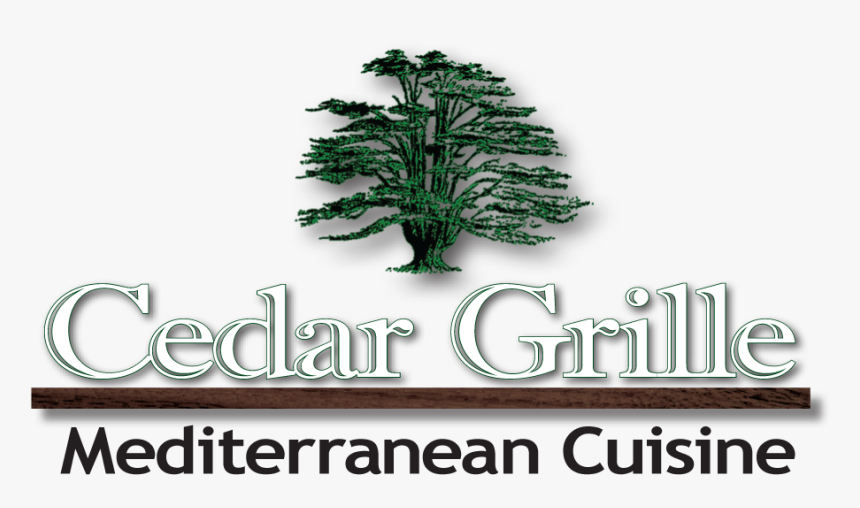 Cedar Tree, HD Png Download, Free Download