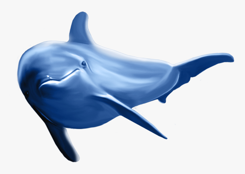 Dolphins, Art Images, Clip Art, Logos, Cartoon, Art - Dolphin Png, Transparent Png, Free Download