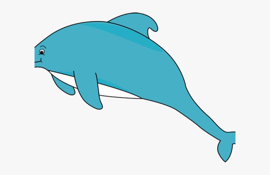 Transparent Dolphin Clipart - Clip Art, HD Png Download, Free Download