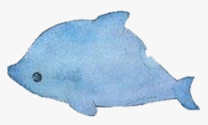 Whale Capital Normal University Dolphin - Coral Reef Fish, HD Png Download, Free Download
