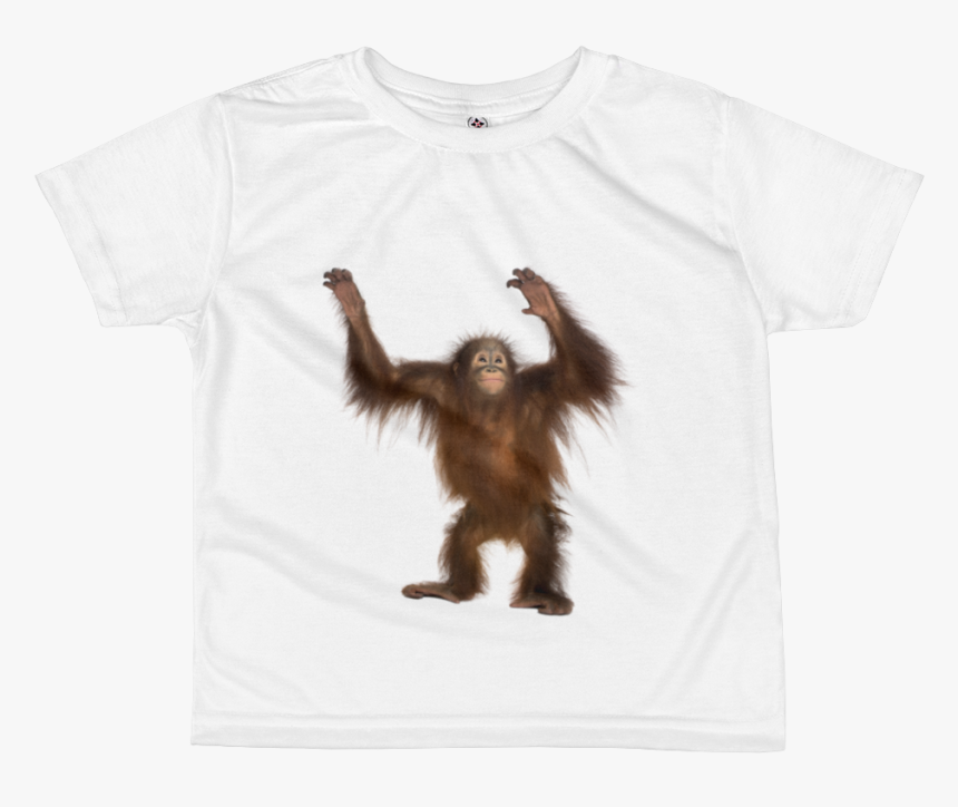 Orang Utan Print All Over Kids Sublimation T Shirt - Ginger Monkey, HD Png Download, Free Download