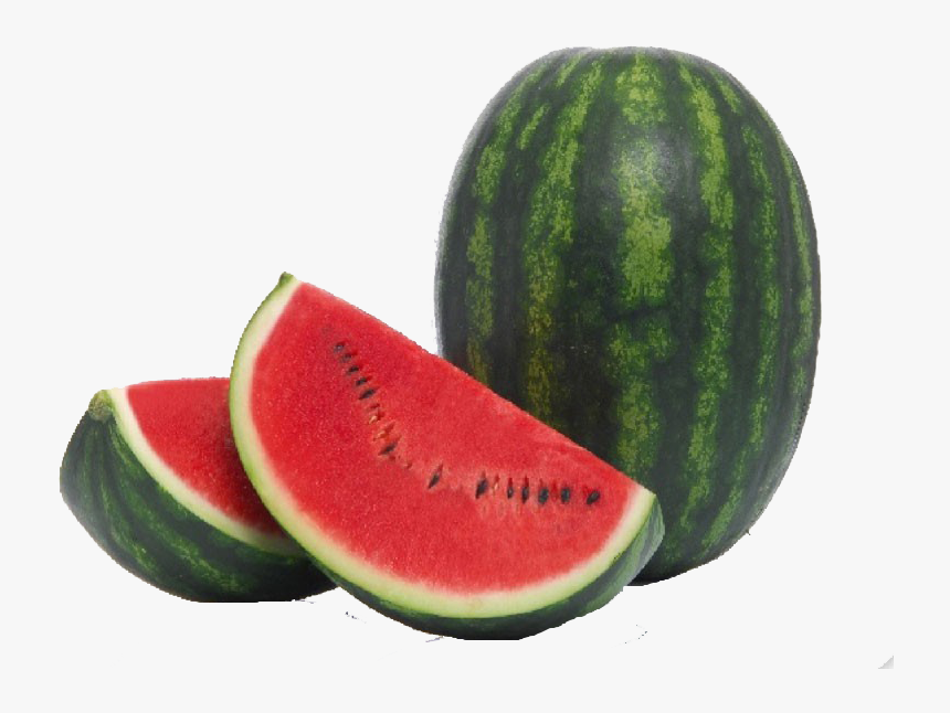 Tropical Watermelon Png Photo Background - Watermelon, Transparent Png, Free Download