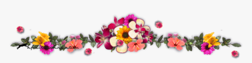 Ftestickers Flowers Bouquet Divider Border Colorful, HD Png Download, Free Download