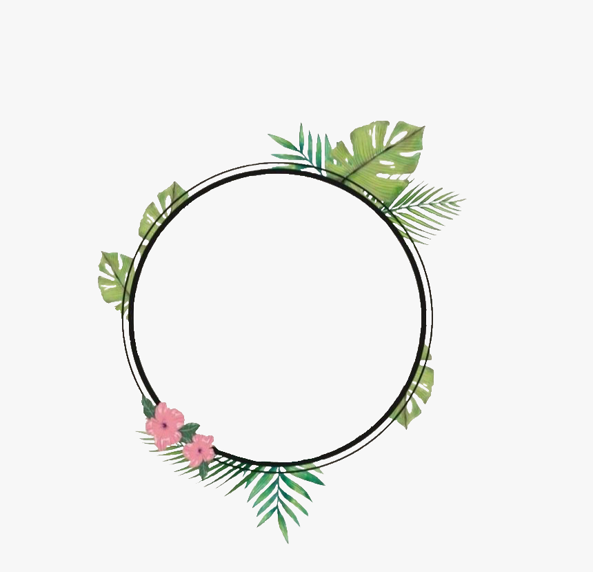 #summer #summerframe #frame #hibiscus #tropical #flowerframe - Circle, HD Png Download, Free Download