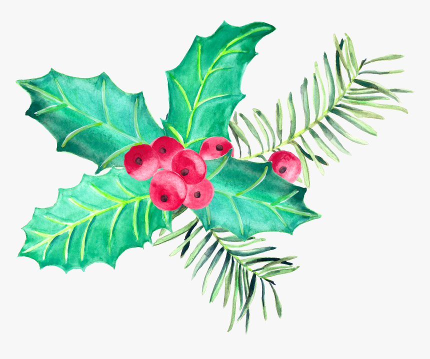 Watercolour, Cgi, Natal, Pen And Wash, Watercolor Painting, - American Holly, HD Png Download, Free Download