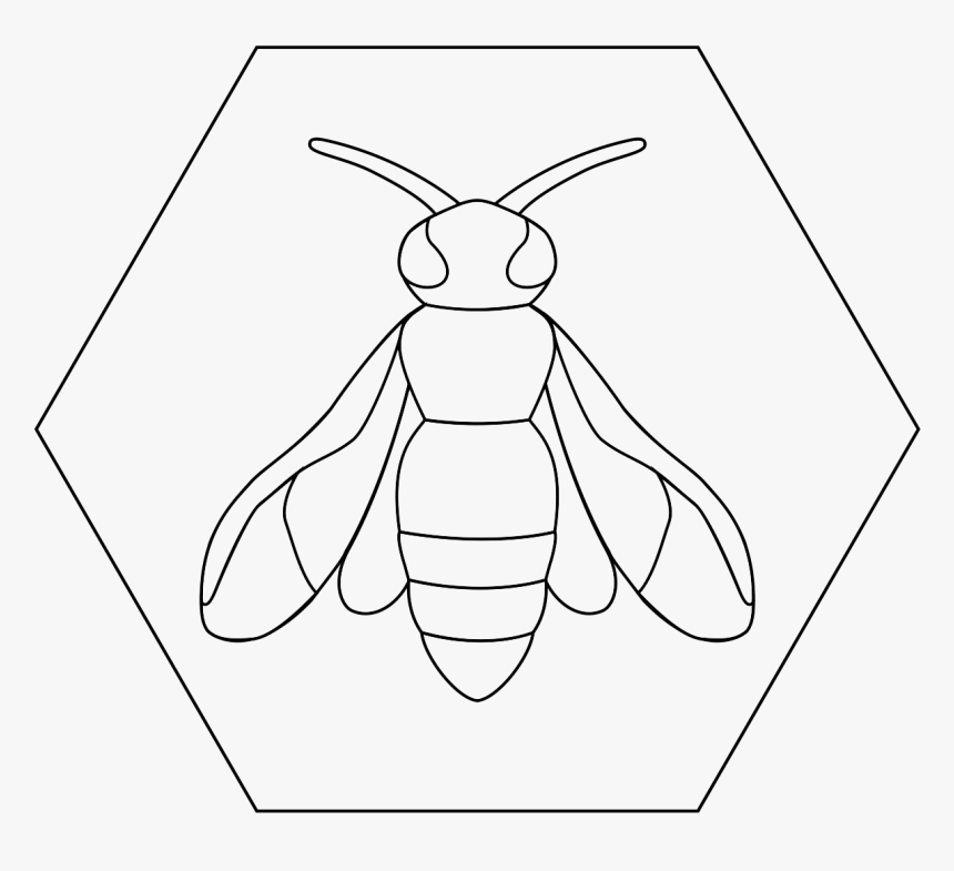 Honeybee, HD Png Download, Free Download