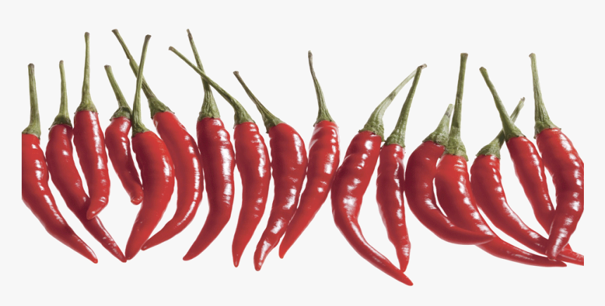 Small Chilli Marketing - Chili Peppers Isolated Png, Transparent Png, Free Download