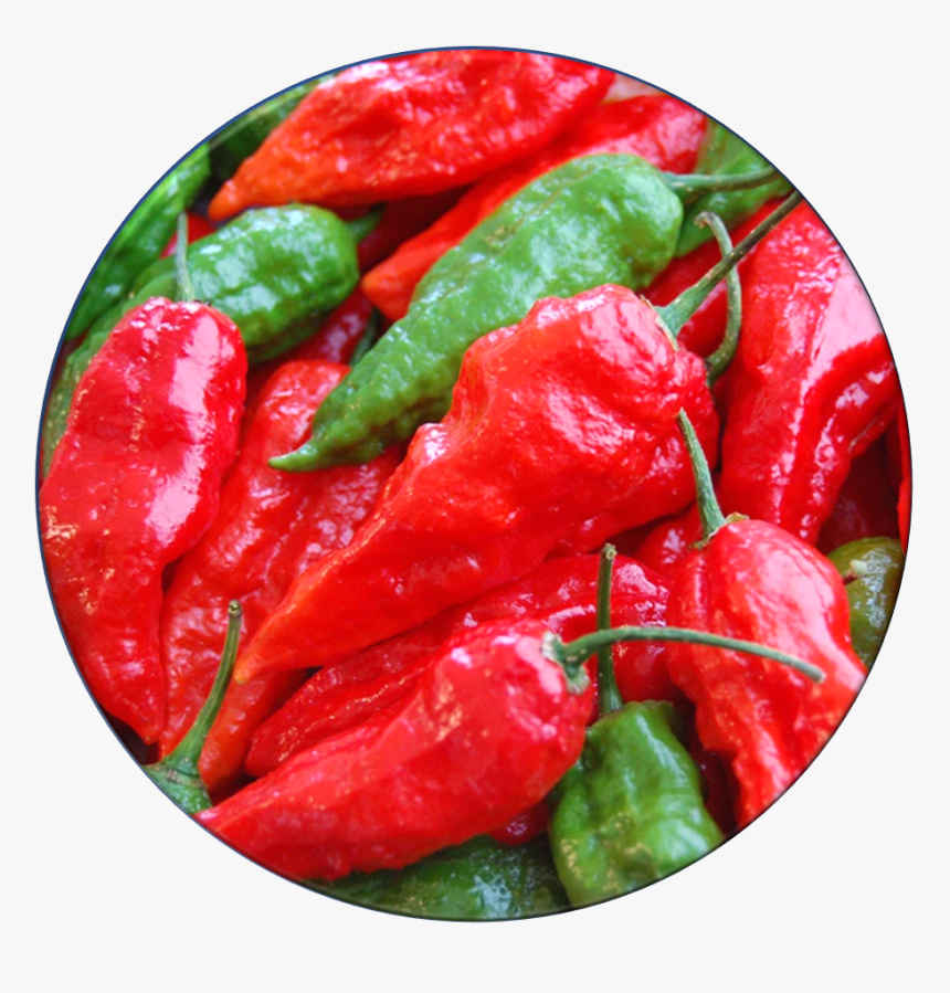 Ghost Pepper, HD Png Download, Free Download